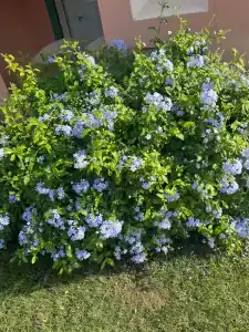 Rehana Sharm Resort - Aquapark & Spa - Couples and Family Only - 88