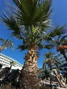 Crystal Admiral Resort Suites & Spa - Ultimate All Inclusive - 87