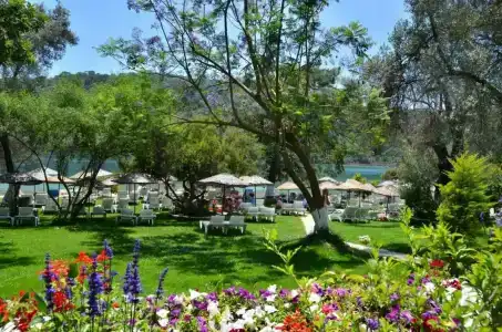 Suncity - Beach Club - 70