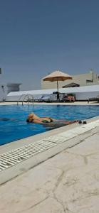 Golden Tulip Al Barsha - 6