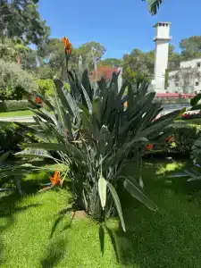 Seven Seas Life - Ultra All Inclusive & Kids Concept - 94