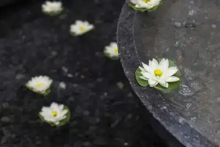 Kempinski Barbaros Bay Bodrum - 91