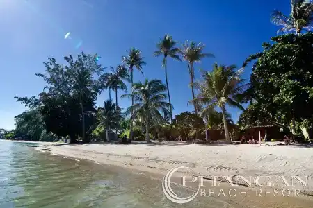 Phangan Beach Resort - 12