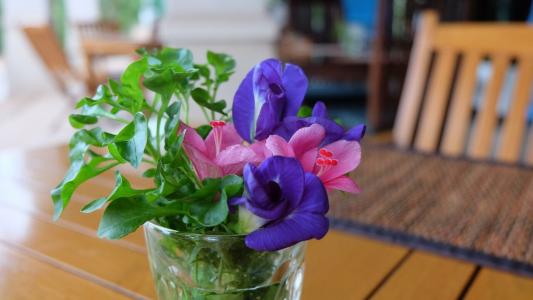 Lanta Mermaid Boutique House - 50