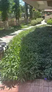 Saritas ONLY FAMILY CONCEPT - 79