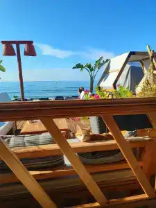 Royalisa Palmiye Beach Adult Only - 52