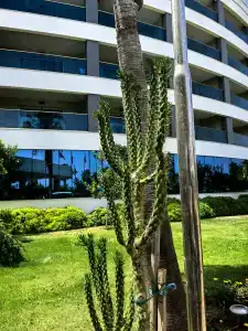 Aquasis De Luxe Resort & SPA - Ultra All Inclusive - 41