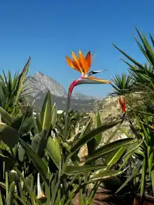 NG Phaselis Bay - 35