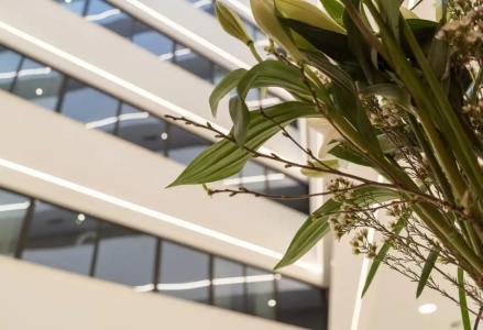 Negresco Princess 4* Sup - 25