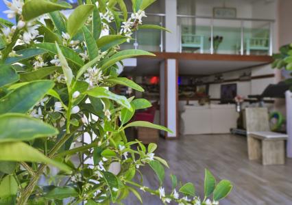 Sonne - Adults Only - 21