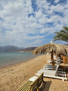 Swiss Inn Resort Dahab - 22