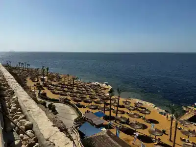 Reef Oasis Blue Bay Resort & Spa - 7