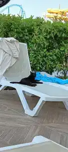 Aydinbey Queen’s Palace & SPA - 39