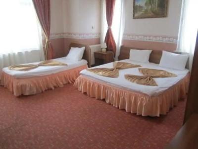 Zarha Mountain Resort - 86