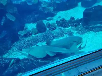 Al Hamra Residence - 88