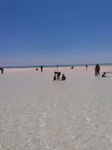 Sharjah Carlton - 51