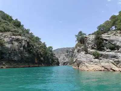 Paloma Finesse Side - 8