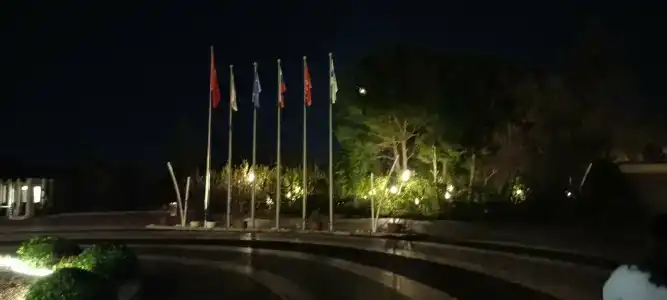 The Sense Deluxe - 98