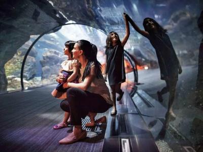 Novotel Dubai Al Barsha - 56