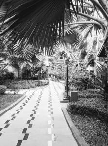 Long Beach Garden & Pavilions - 5