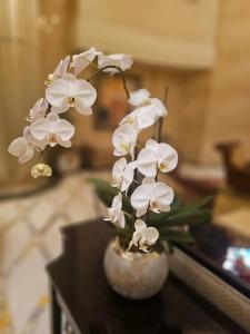 The St. Regis Abu Dhabi - 12