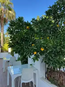 Amsterdam Otel & Suite Apart - 21