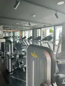 Paloma Finesse Side - 63