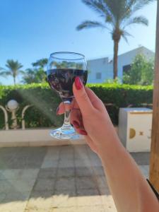 Sharm Reef Resort - 87