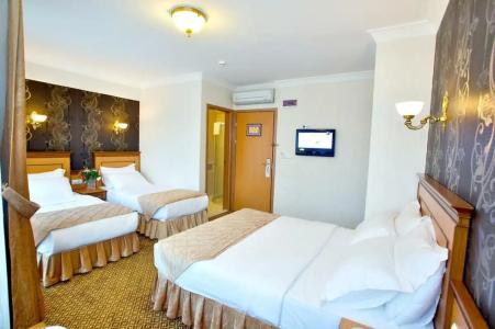 Grand Unal - 50