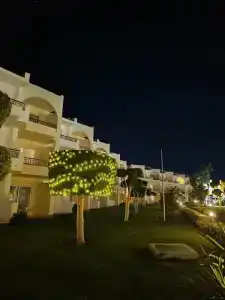 Jaz Makadi Oasis Resort - 23