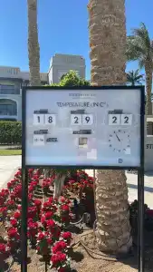 Steigenberger Alcazar - 56