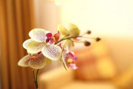 Caravelle im Park - 21