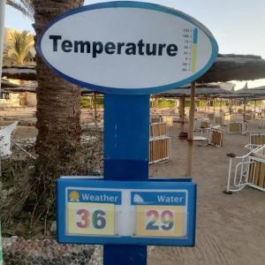 Seagull Beach Resort - Families and Couples Only - 29