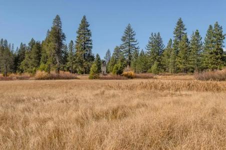 Truckee Donner Lodge - 38