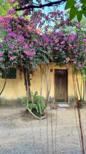 Sok Sabay Resort - 3