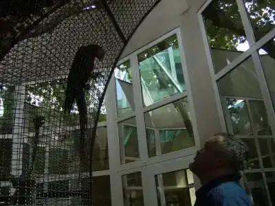 NaturMed Carbona - 18