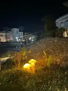 Naama Bay & Resort - 21