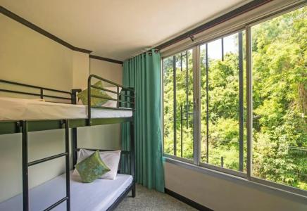 Green House - 30