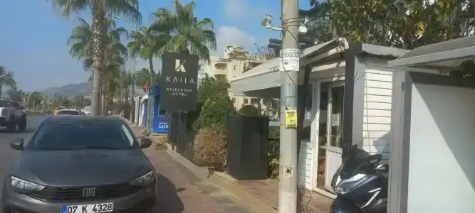 Kaila Krizantem - 83