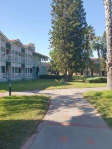 Euphoria Palm Beach Resort - 46