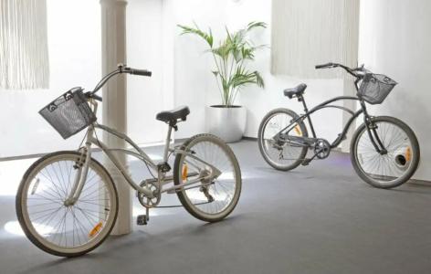 Chic & Basic Born Boutique - 6