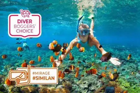 Mirage Express Patong Phuket - 63