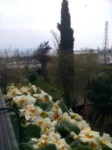 Pendik Marine - 21