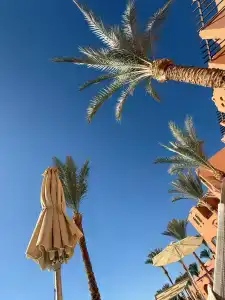 Jaz Makadi Oasis Resort - 36