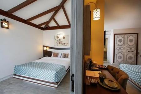 Assos Barbarossa - Special Category - 68