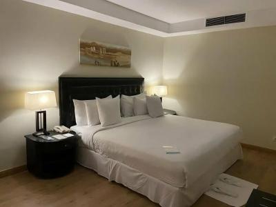 Barceló Cairo Pyramids - 50