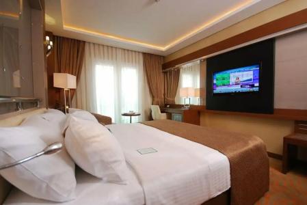 Holiday Inn Ankara-Kavaklidere, an IHG - 98