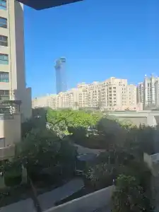 Adagio Premium The Palm - 75