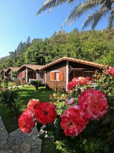 Canada & Bungalows