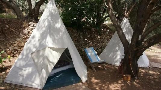 Shiva Camp - 2